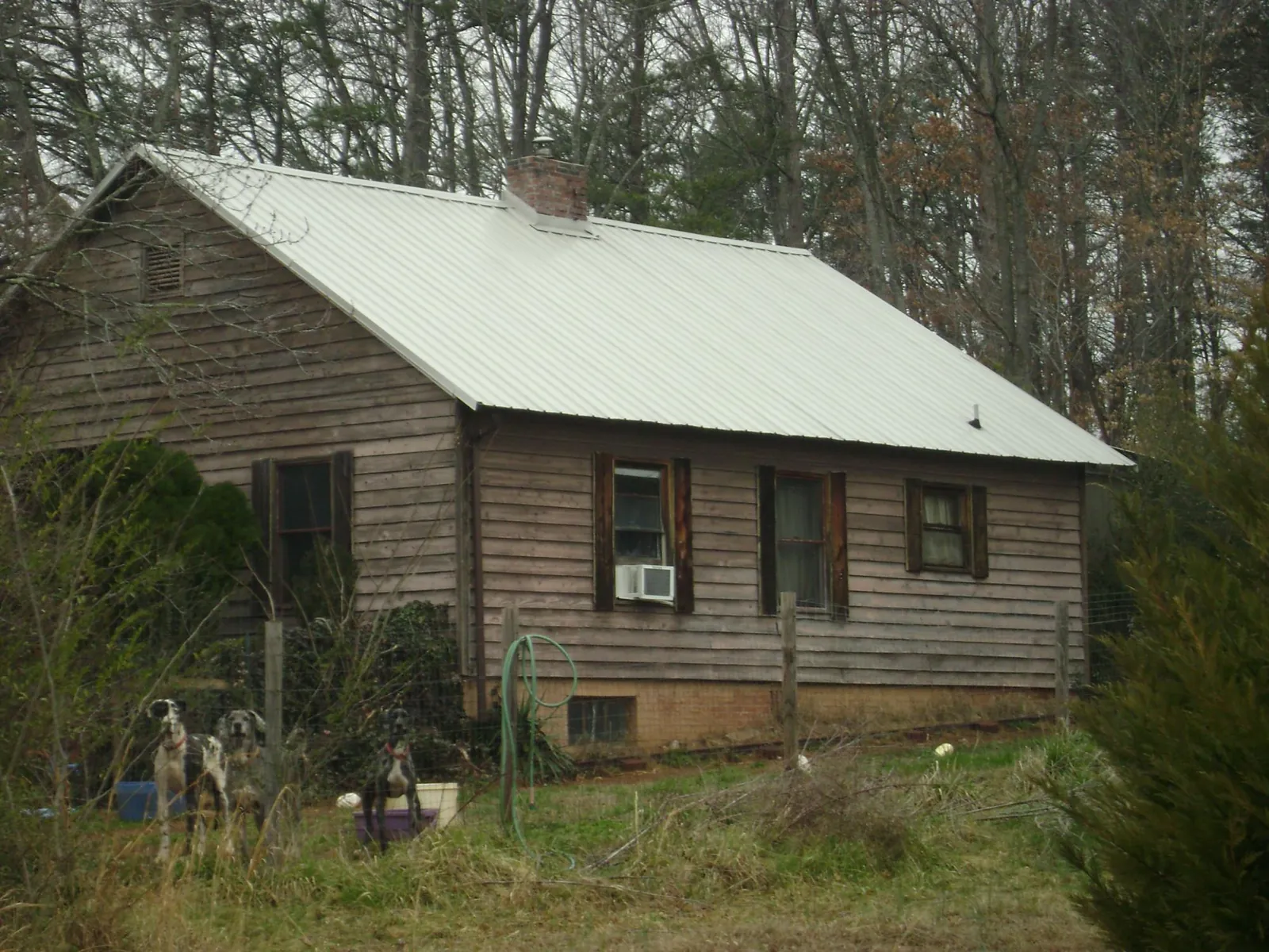 White metal roof on an old wood sided farmhouse, from a Asphalt Shingle Roof Repair job in Clarksville